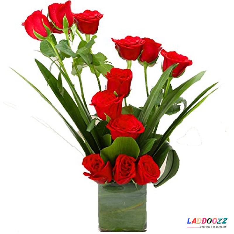 Fresh 12 Red Roses in Glass Vase